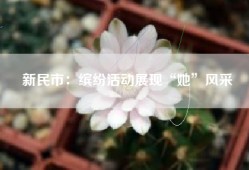 新民市：缤纷活动展现“她”风采