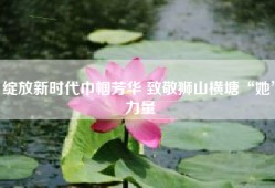 绽放新时代巾帼芳华 致敬狮山横塘“她”力量