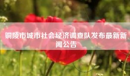 铜陵市城市社会经济调查队发布最新新闻公告