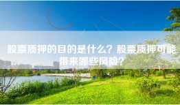 股票质押的目的是什么？股票质押可能带来哪些风险？