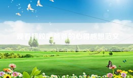 观看摔跤吧爸爸的心得感想范文