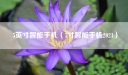 5英寸智能手机（5寸智能手机2021）