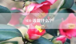 SEO 该做什么？