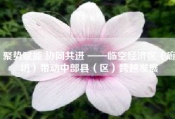 聚势赋能 协同共进 ——临空经济区（廊坊）带动中部县（区）跨越发展