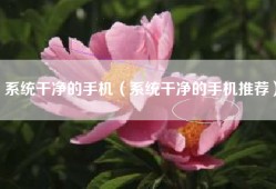 系统干净的手机（系统干净的手机推荐）