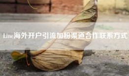 Line海外开户引流加粉渠道合作联系方式