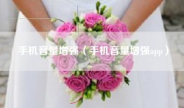 手机音量增强（手机音量增强app）
