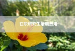 在职研究生培训费用