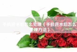 手机进水后怎么处理（手机进水后怎么处理方法）