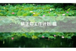 转正后工作计划5篇