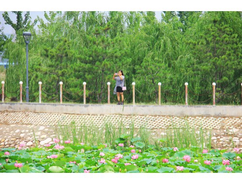 咸阳房价最新动态，楼盘消息、市场走势与购房指南