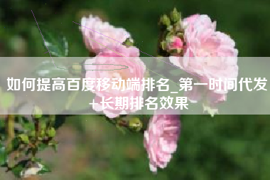 如何提高百度移动端排名_第一时间代发+长期排名效果