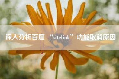 深入分析百度 “sitelink”功能取消原因