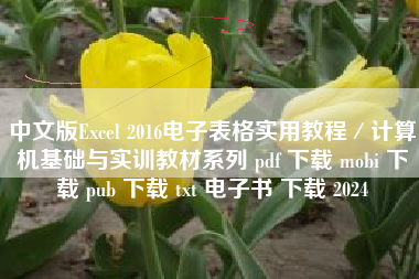 中文版Excel 2016电子表格实用教程／计算机基础与实训教材系列 pdf 下载 mobi 下载 pub 下载 txt 电子书 下载 2024