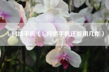 4g网络手机（4g网络手机还能用几年）
