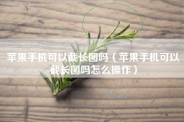 苹果手机可以截长图吗（苹果手机可以截长图吗怎么操作）