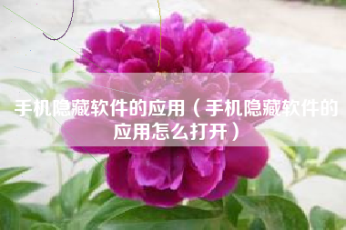 手机隐藏软件的应用（手机隐藏软件的应用怎么打开）