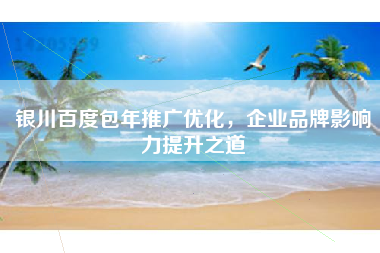银川百度包年推广优化，企业品牌影响力提升之道