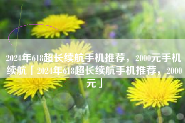 2024年618超长续航手机推荐，2000元手机续航「2024年618超长续航手机推荐，2000元」