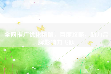 全网推广优化秘籍，百度攻略，助力品牌影响力飞跃
