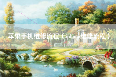 苹果手机维修流程（iphone维修流程）