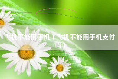 飞机不能用手机（飞机不能用手机支付吗）