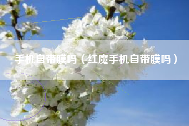 手机自带膜吗（红魔手机自带膜吗）