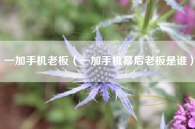 一加手机老板（一加手机幕后老板是谁）