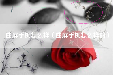 曲屏手机怎么样（曲屏手机怎么样的）