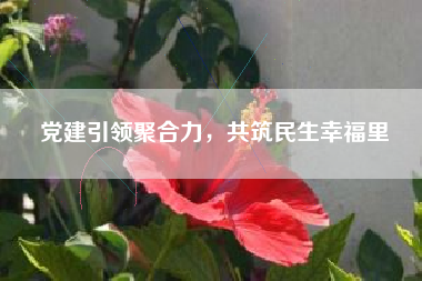 党建引领聚合力，共筑民生幸福里